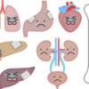 8　下部消化器系・生殖器系のおはなし（1）腎臓と尿（5）